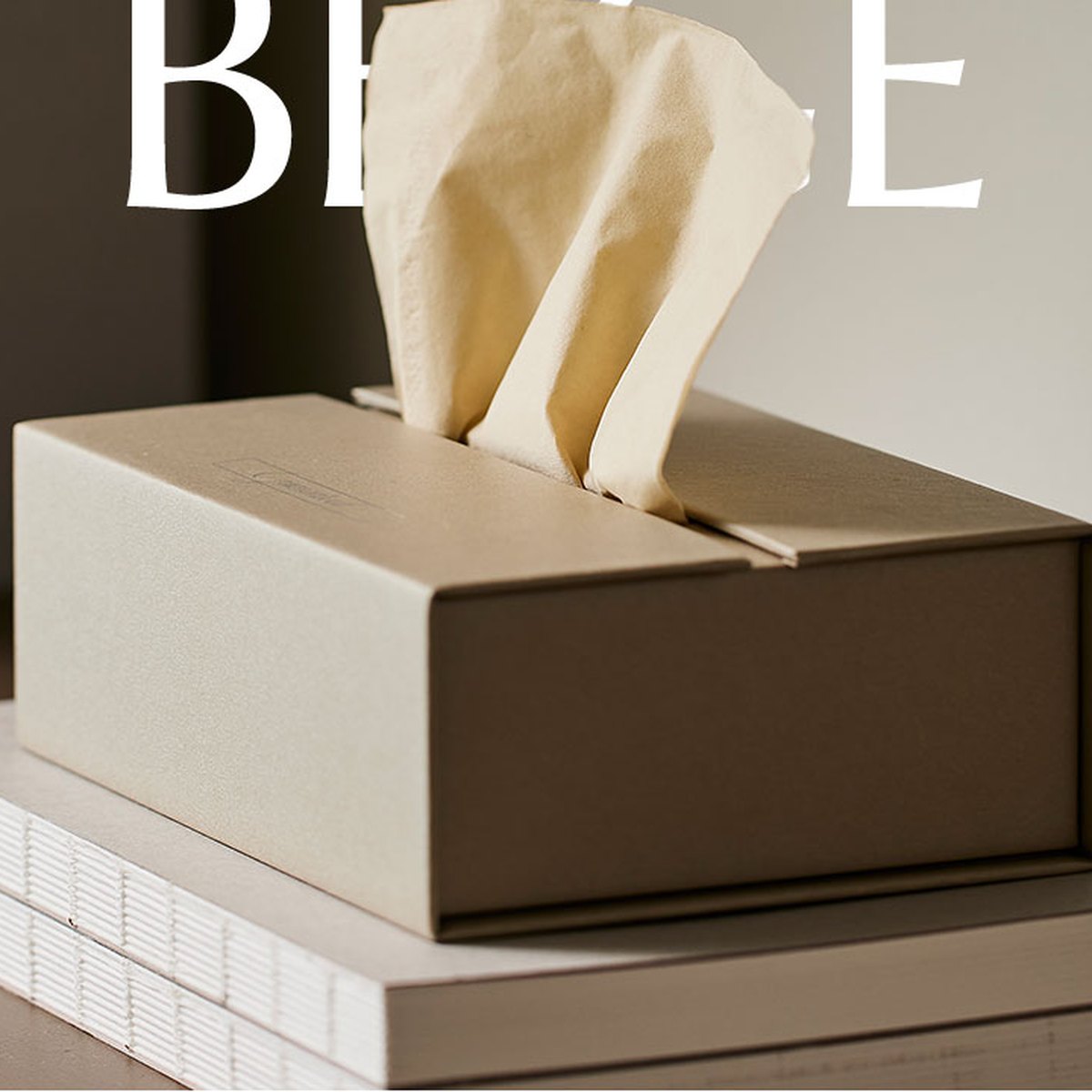 Guaranteed Tissue Case Beige